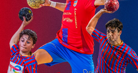 Stage élite GFCA Handball !
